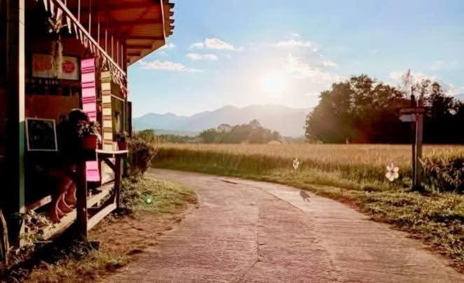 Photo of Others in Pai