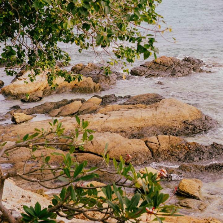 Photo of Others in Rayong