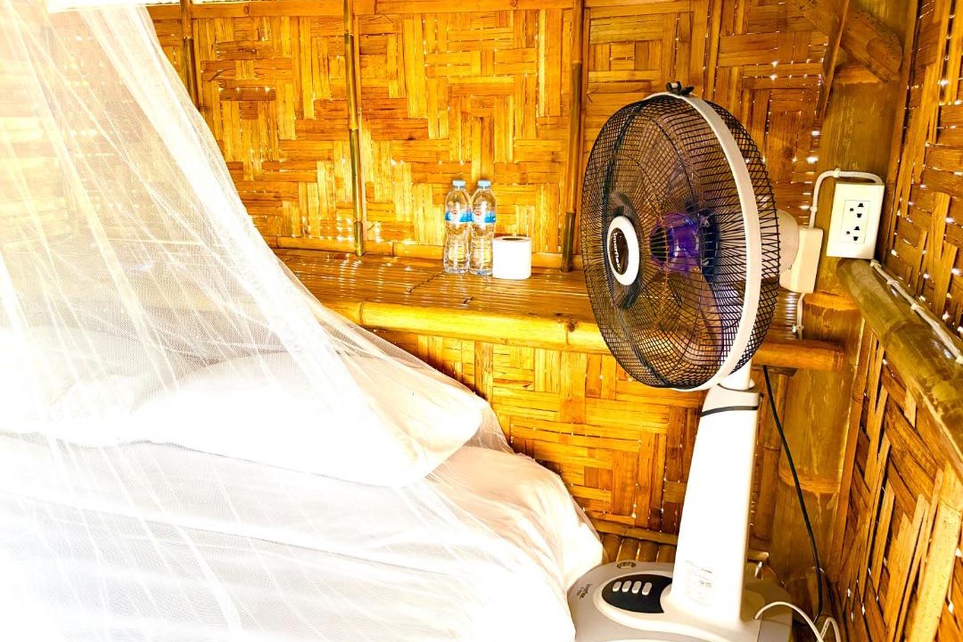 Photo of Others in Patong