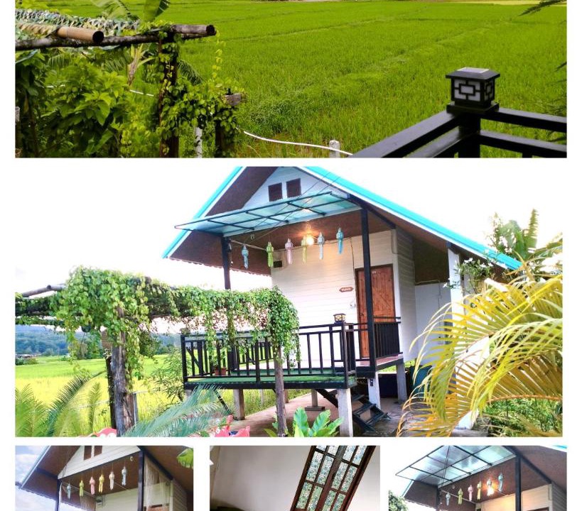 Photo of Others in Pua
