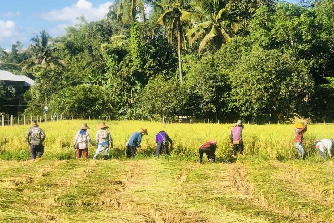 Photo of Others in Pai