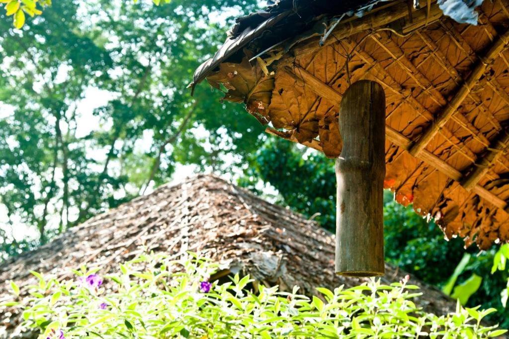 Photo of Others in Pai