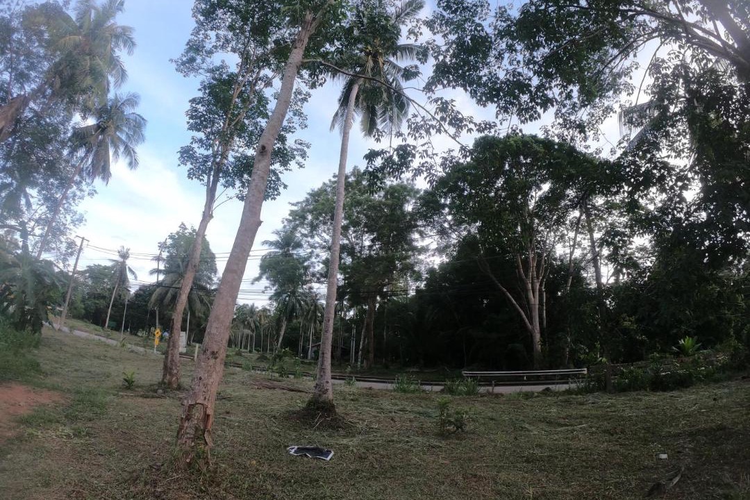 Photo of Outdoor in Bai Lan