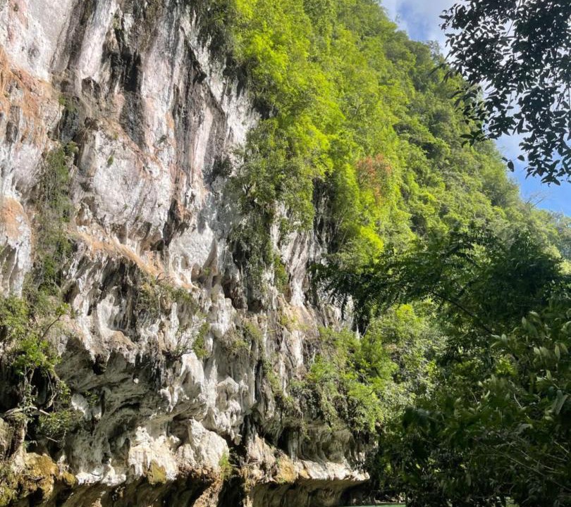 Photo of Others in Khlong Sok