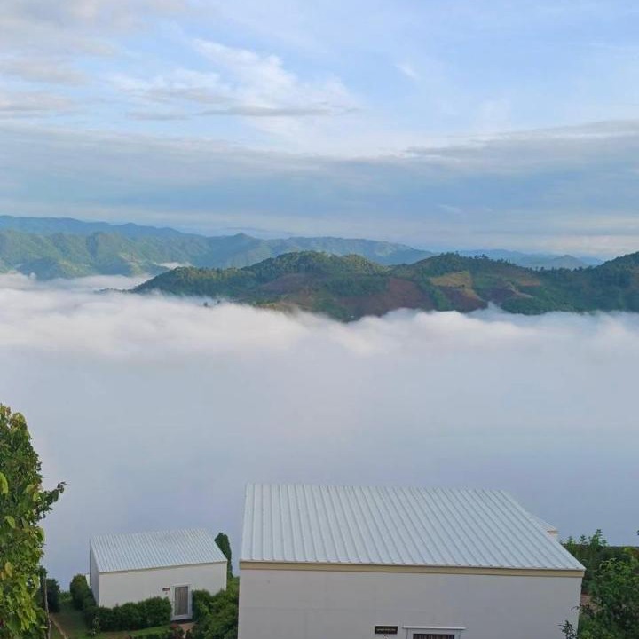 Photo of Others in Mae Suai