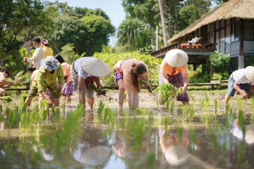 Photo of Others in Ko Yao