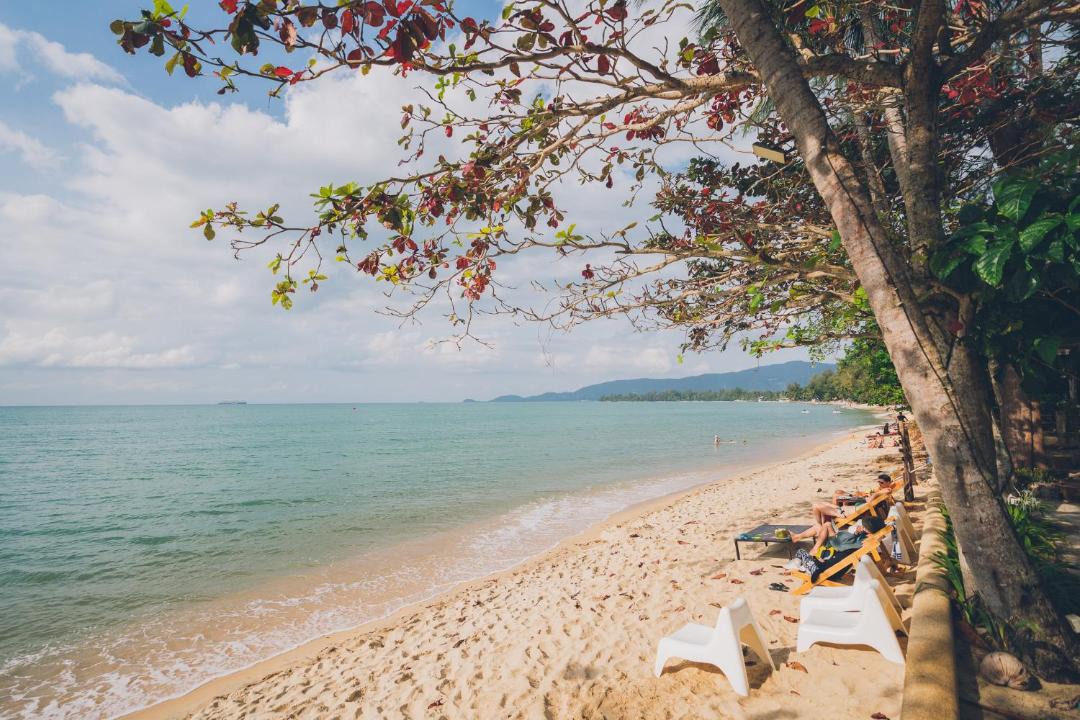 Photo of Others in Lipa Noi