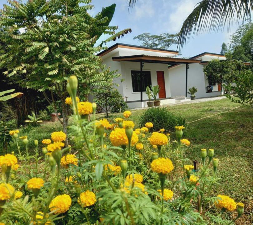 Photo of Others in Ban Ta Khun