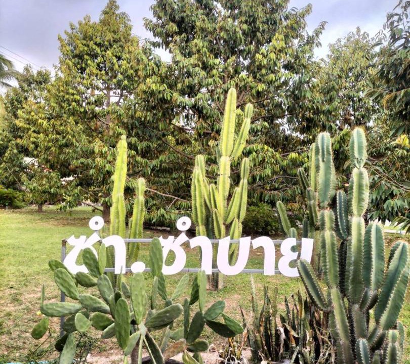 Photo of Outdoor in Wang Thong