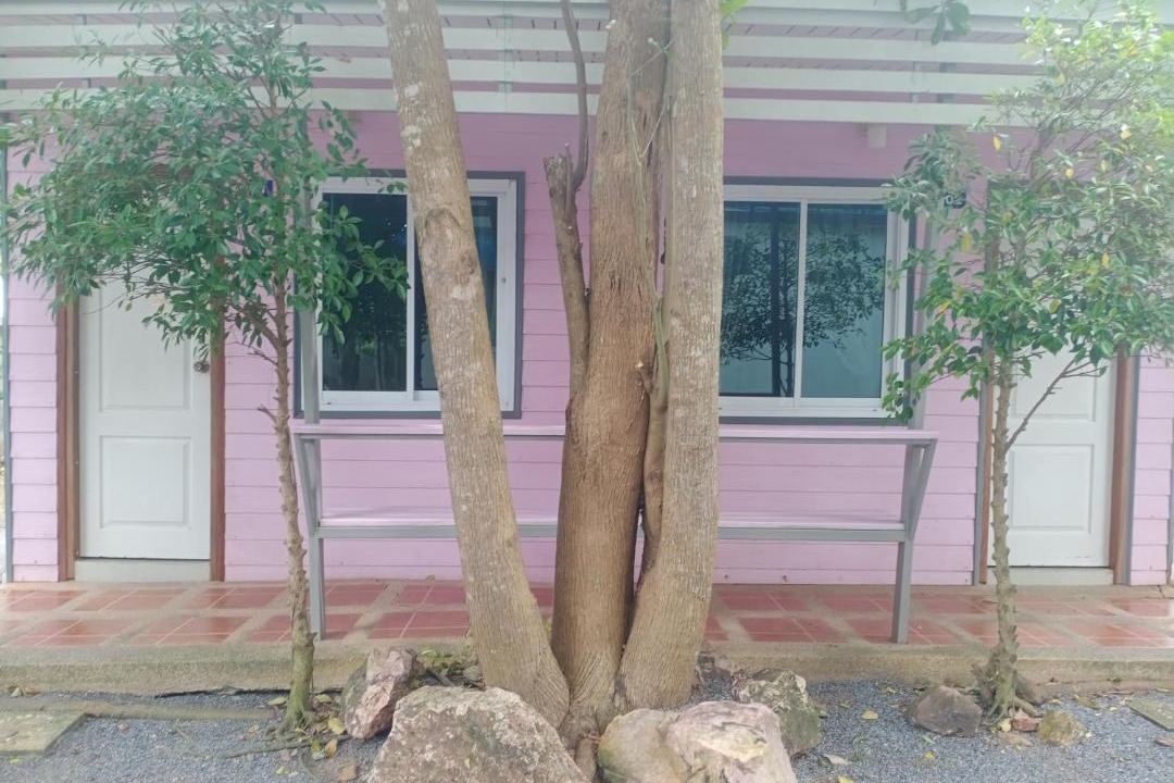 Photo of Others in Ban Pa Yang