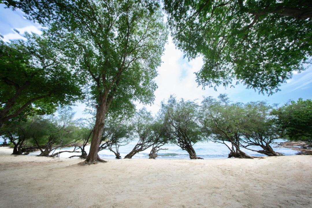 Photo of Others in Rayong