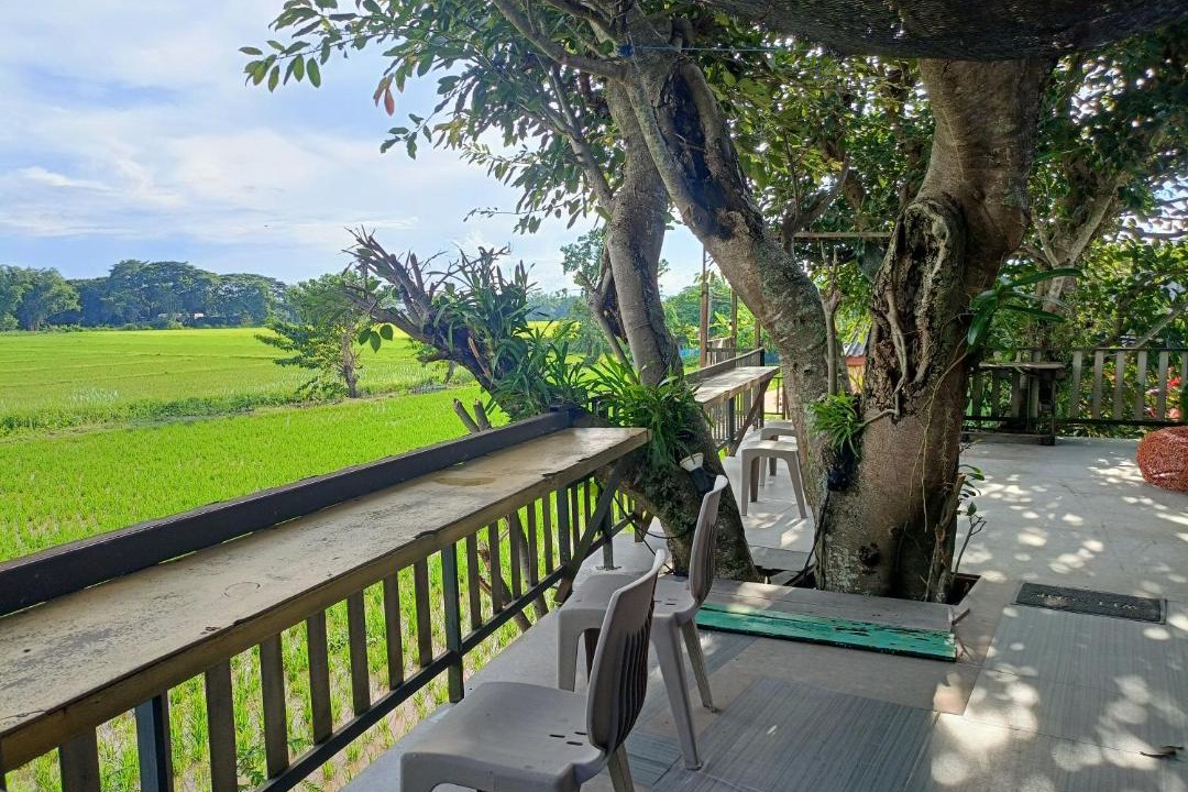 Photo of Others in Chiang Rai