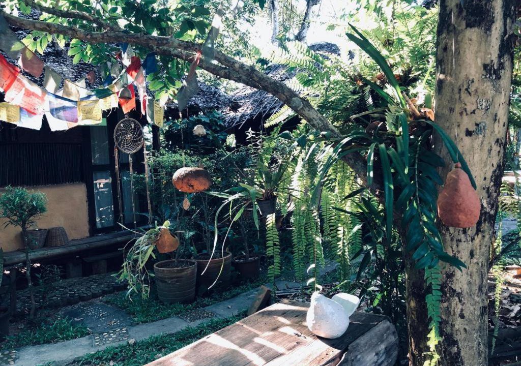 Photo of Others in Pai