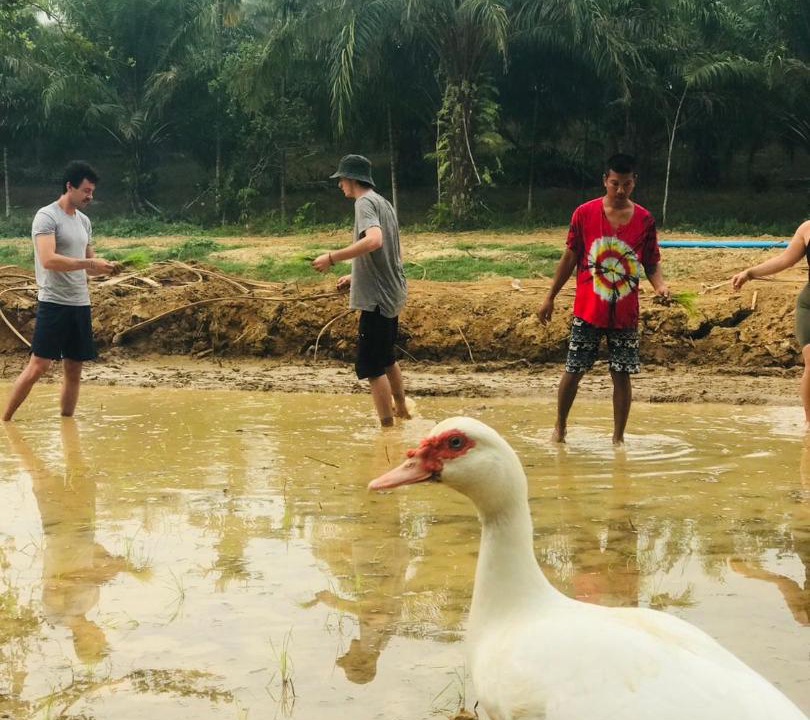 Photo of Others in Khlong Sok