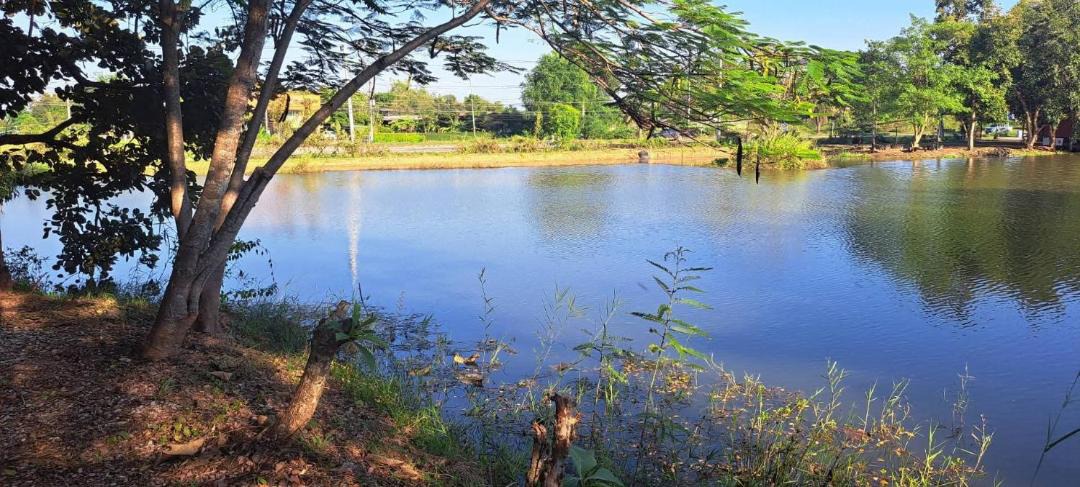 Photo of Others in Samut Sakhon