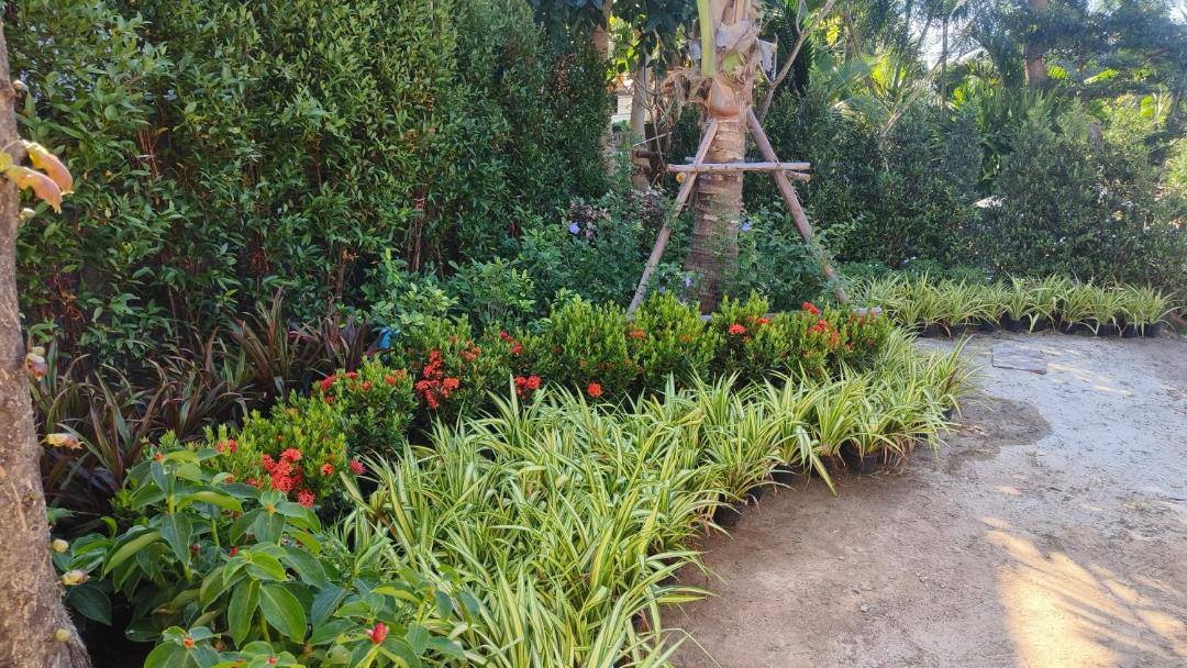 Photo of Outdoor in Ko Lanta