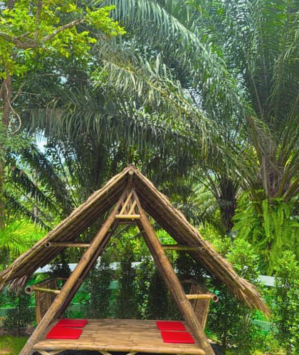Photo of Others in Krabi