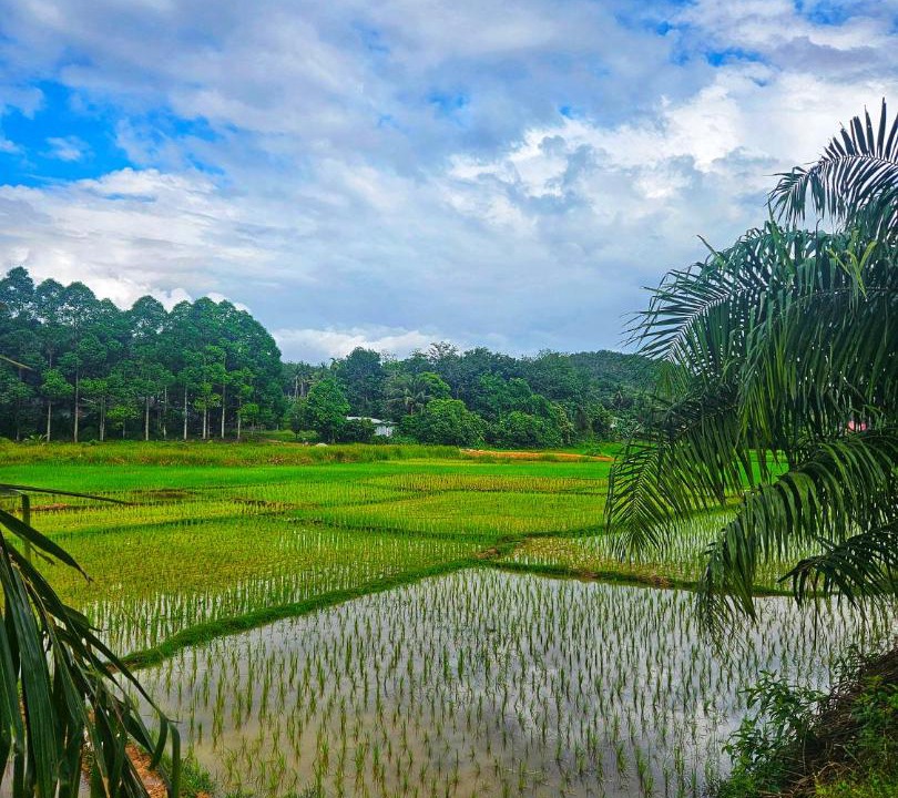 Photo of Others in Ko Yao