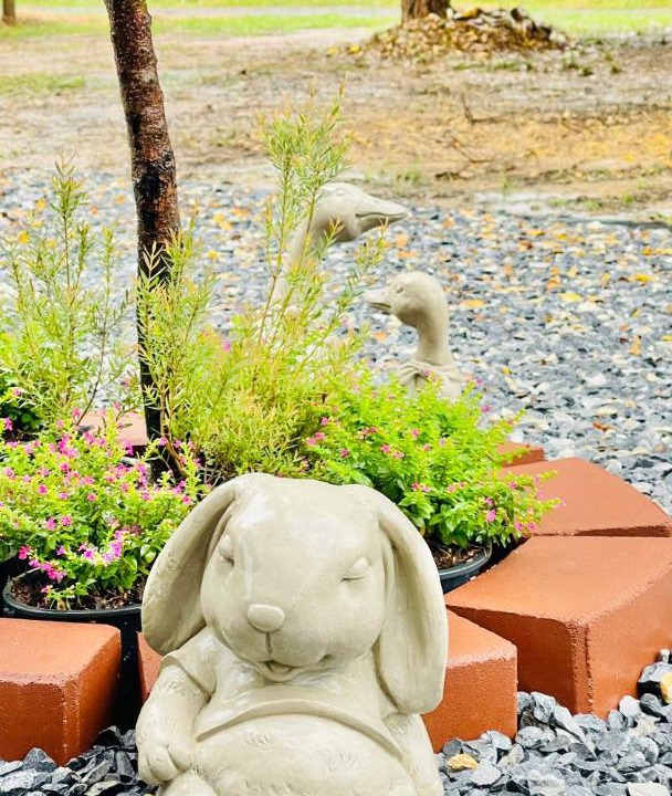 Photo of Outdoor in Mueang Kao