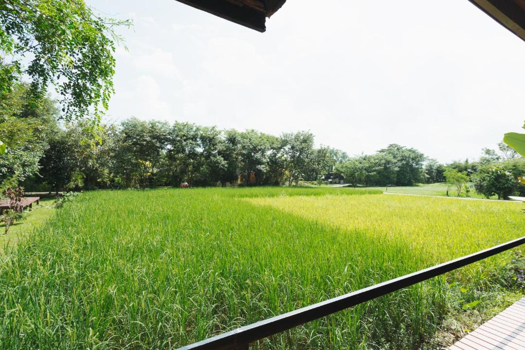 Photo of Others in Mae Kon