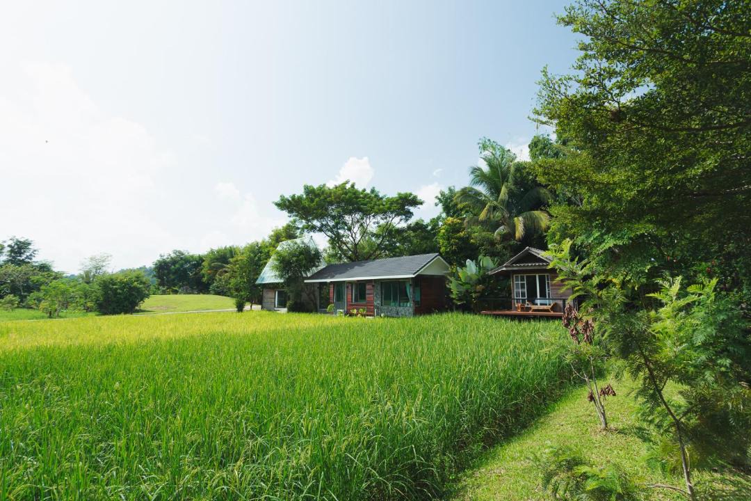 Photo of Others in Mae Kon