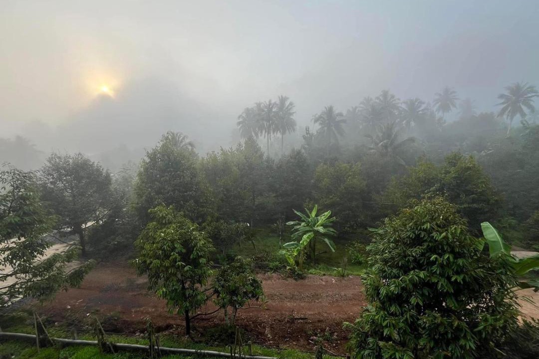 Photo of Others in Thong Pha Phum