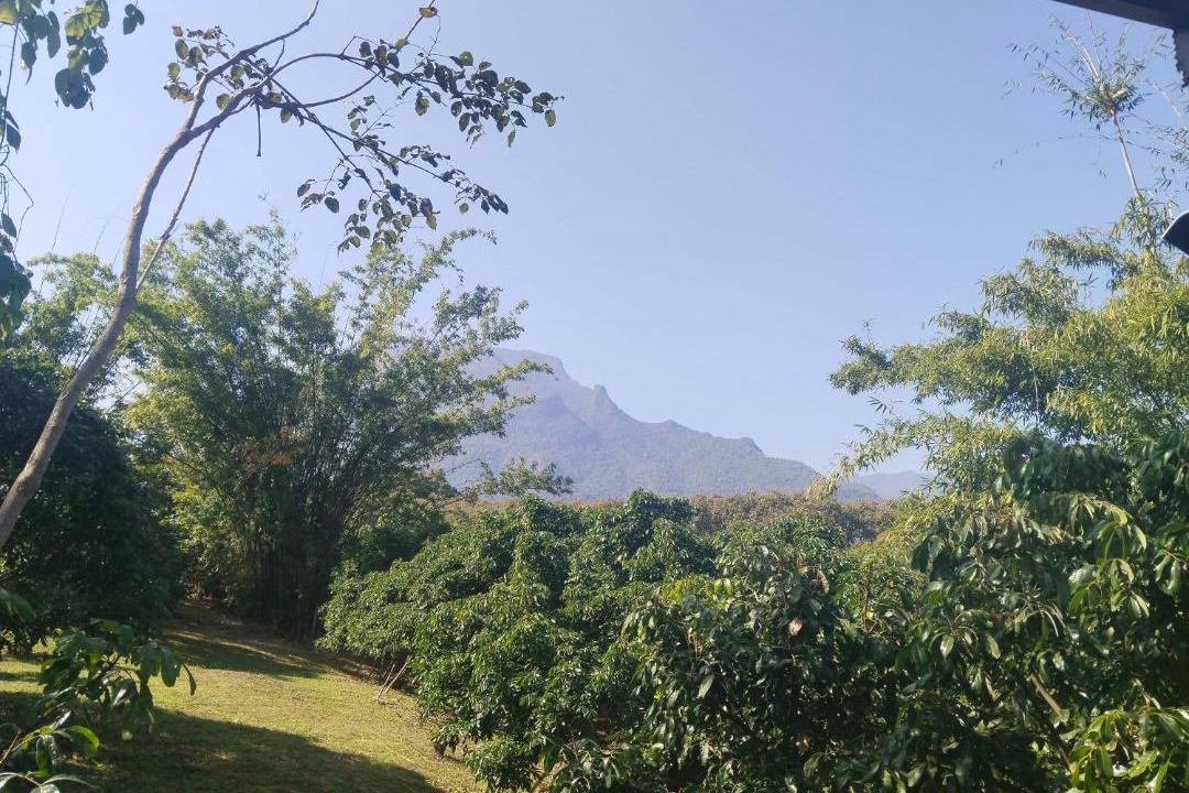 Photo of Others in Chiang Dao