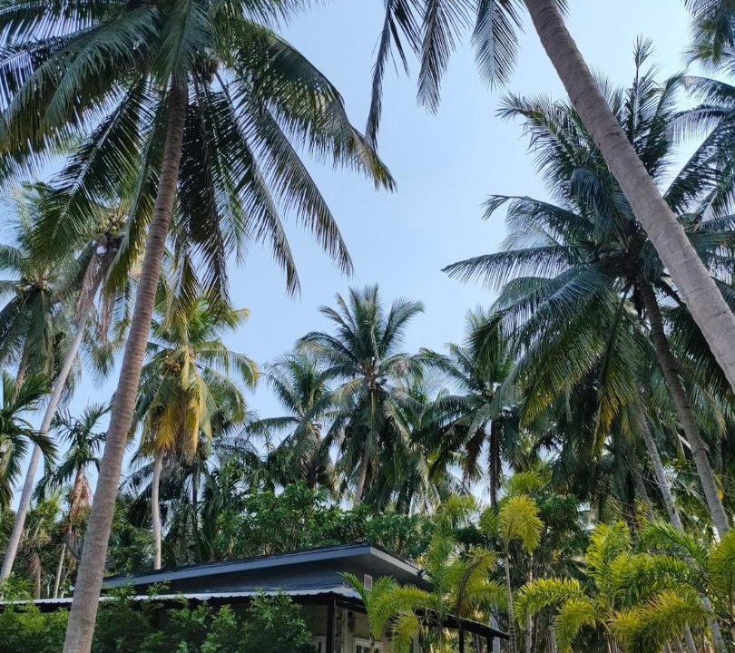 Photo of Others in Thong Chai