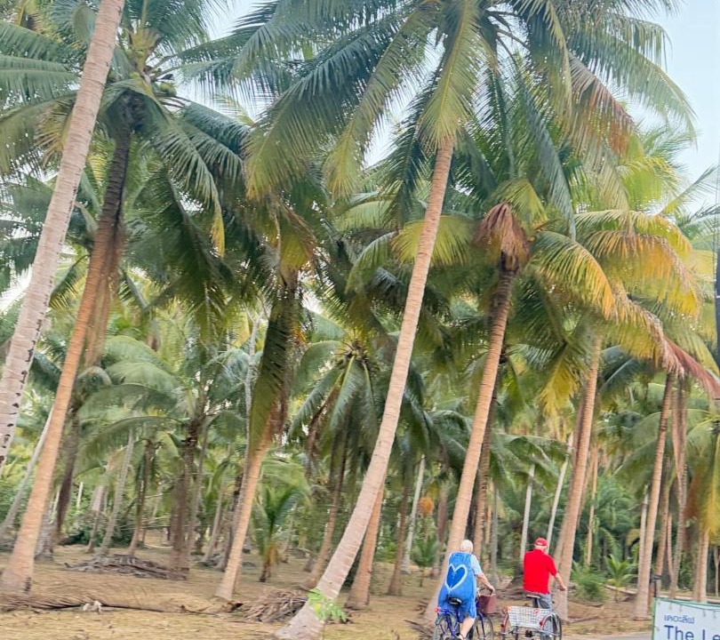 Photo of Others in Thong Chai