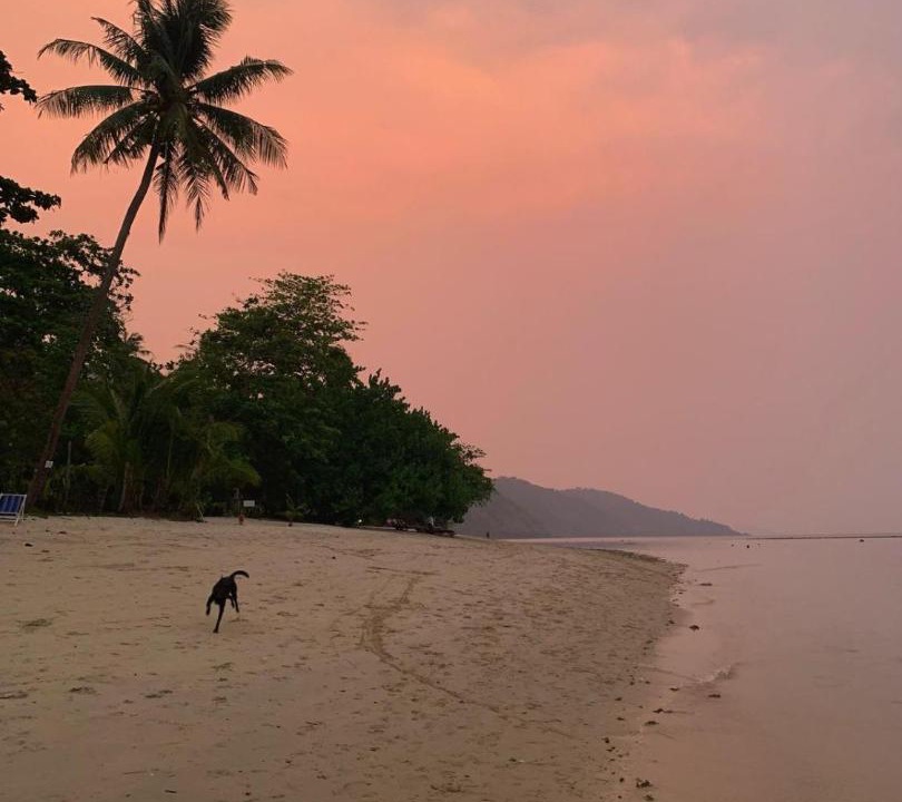 Photo of Others in Khong Koi Beach