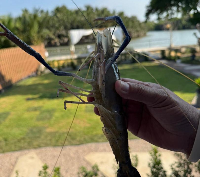 Photo of Others in Samut Songkhram