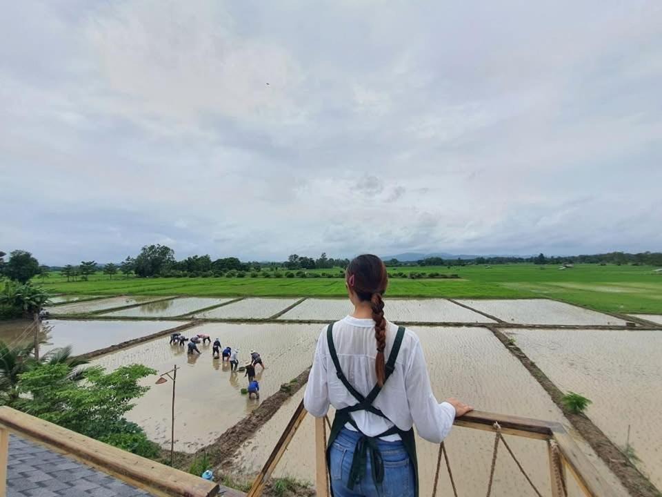Photo of Others in Khun Tan