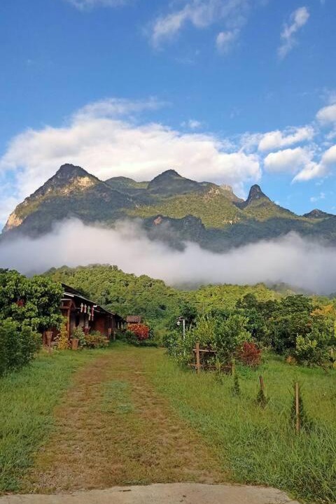 Photo of Others in Chiang Dao