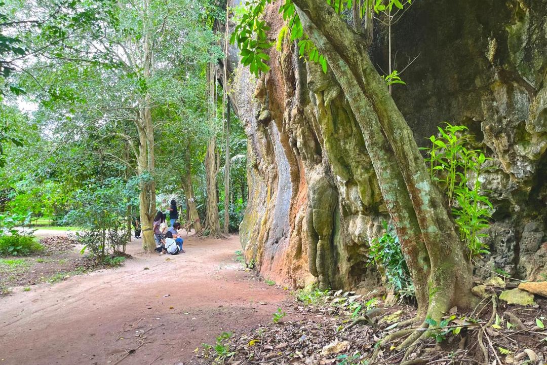 Photo of Others in Krabi