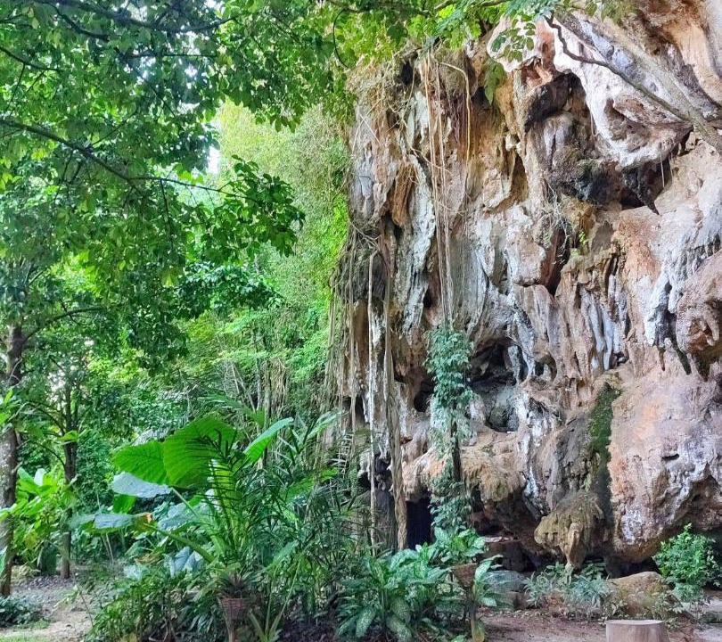 Photo of Others in Krabi