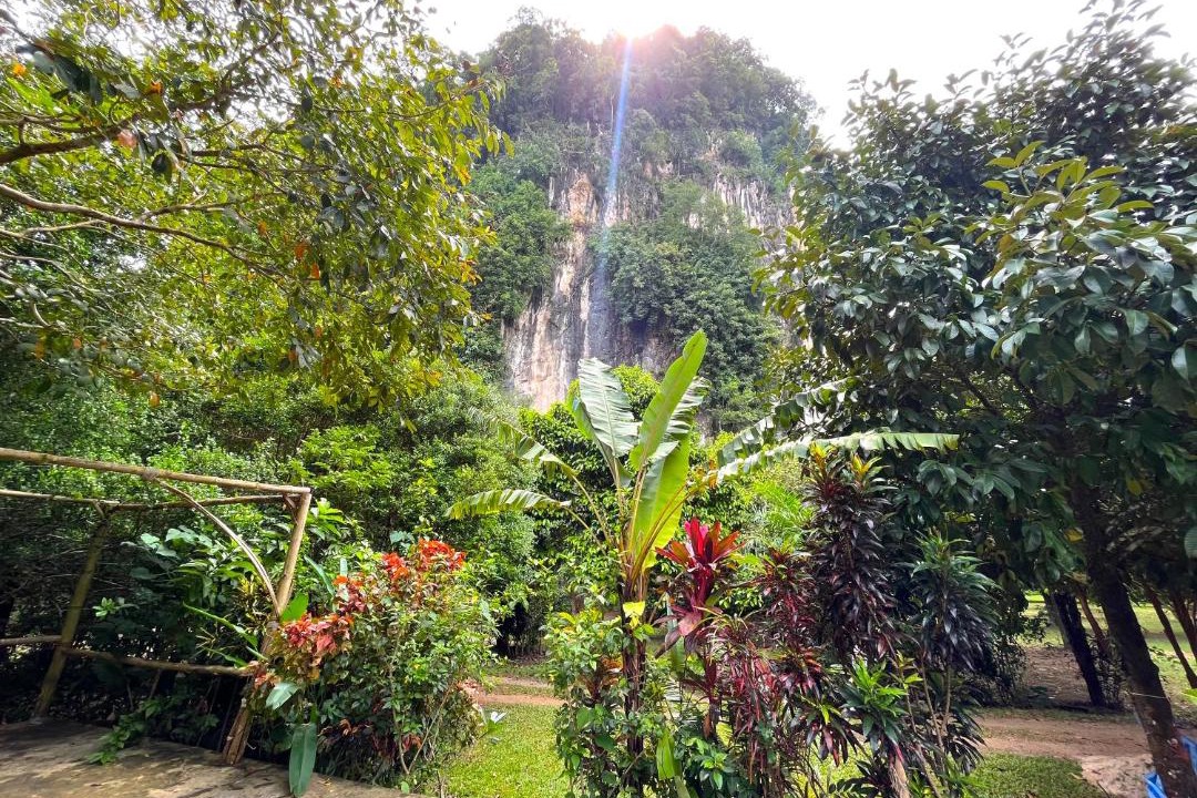 Photo of Others in Krabi