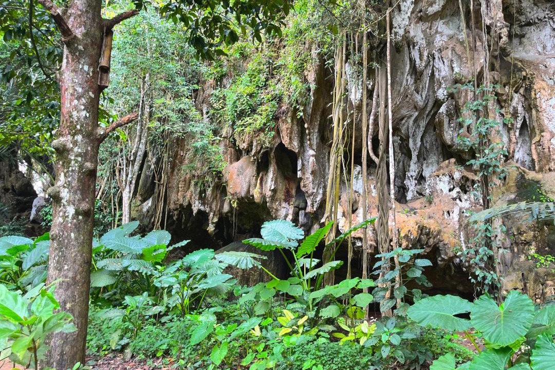 Photo of Others in Krabi