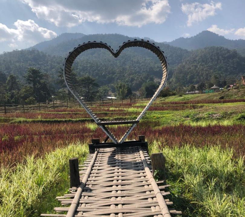 Photo of Others in Pai