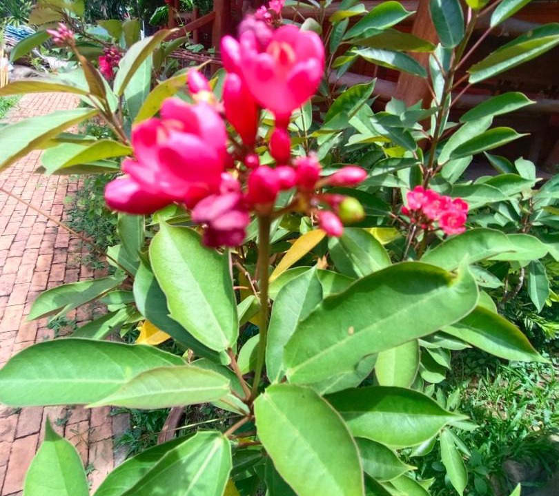 Photo of Outdoor in Thani