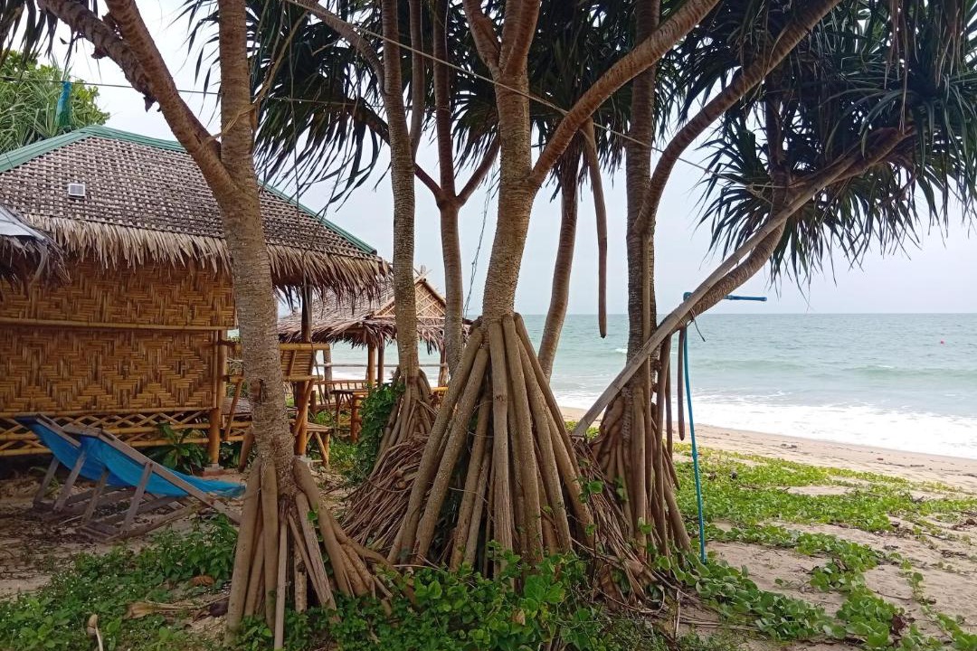 Photo of Others in Ko Lanta
