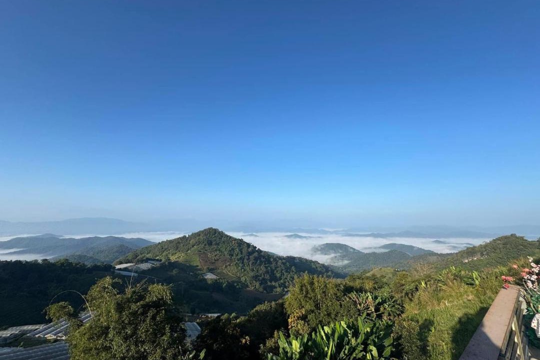 Photo of Others in Samoeng Tai