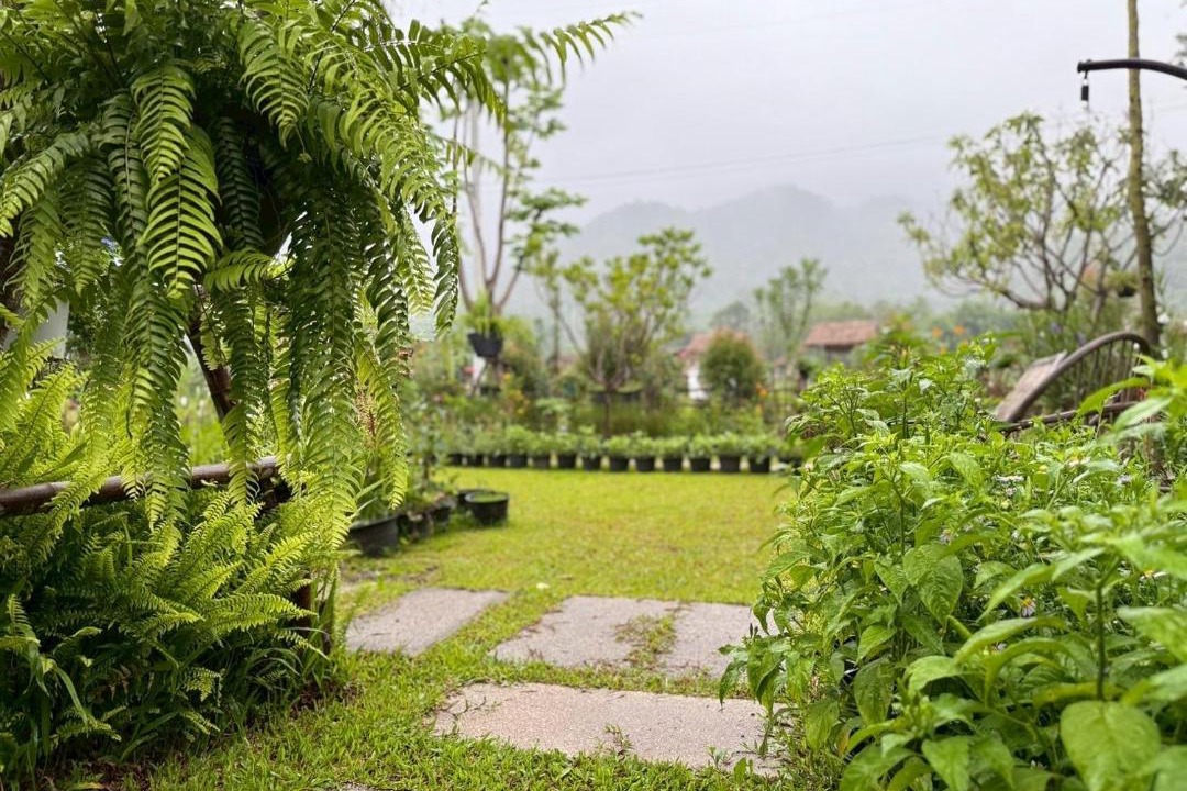 Photo of Outdoor in Bo Kluea