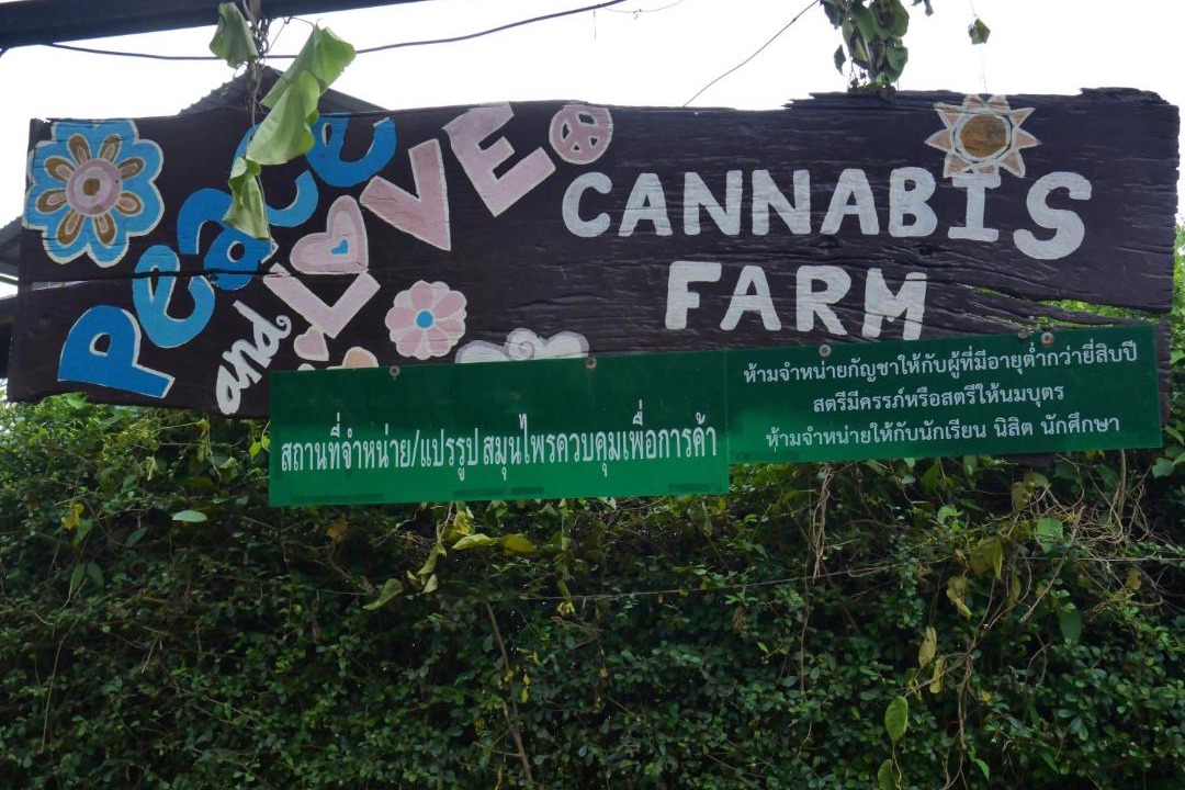 Photo of Outdoor in Chiang Rai
