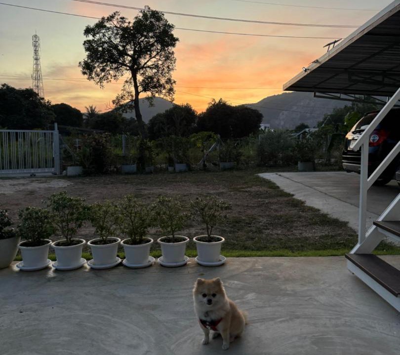 Photo of Others in Sattahip