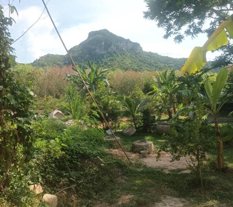 Photo of Others in Ang Thong