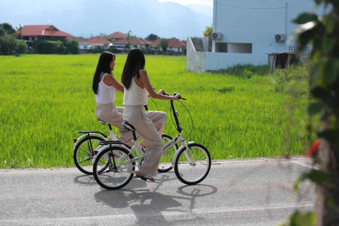 Photo of Others in San Sai