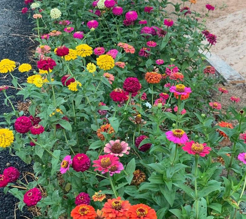 Photo of Outdoor in Sanom