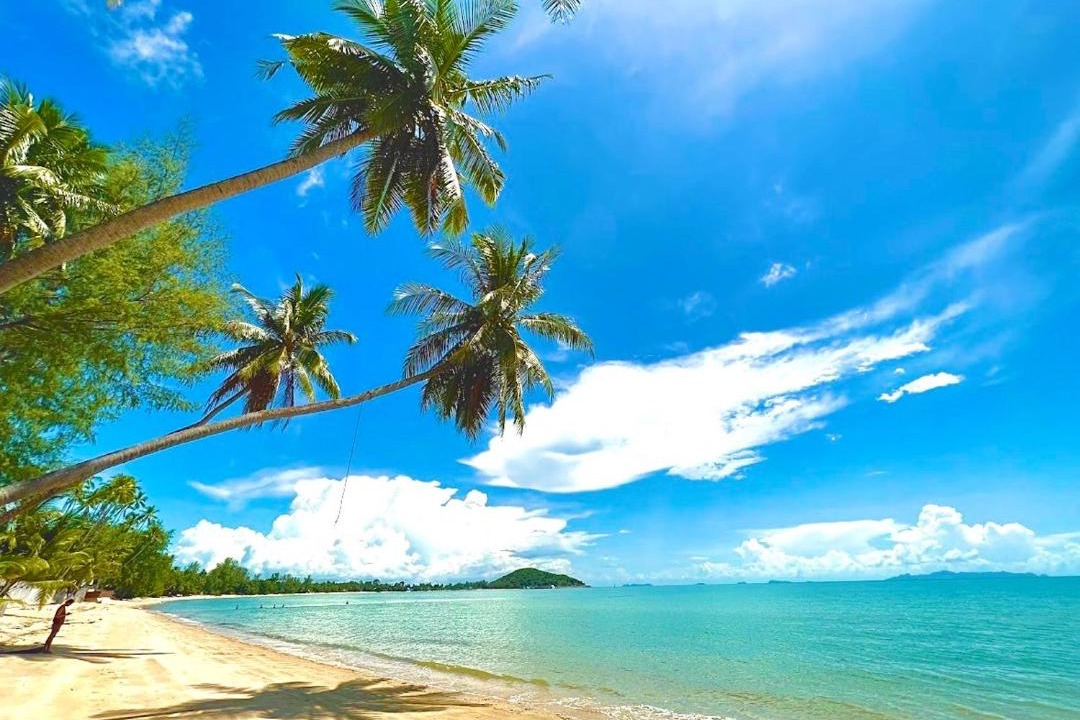 Photo of Others in Lipa Noi