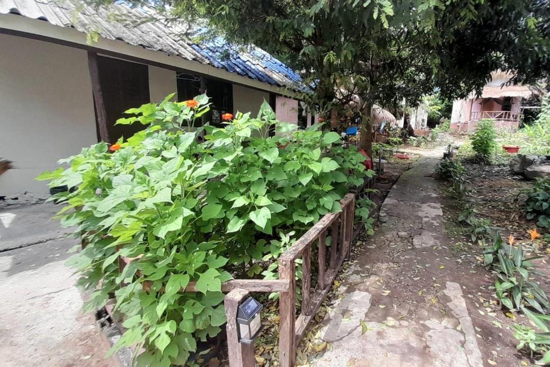 Photo of Others in Bai Lan