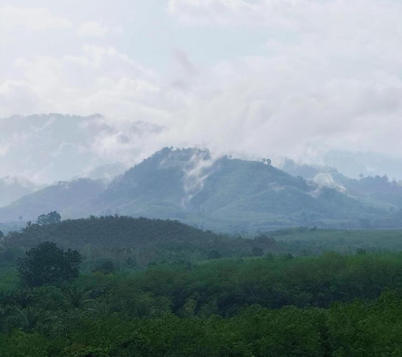 Photo of Others in Phangnga